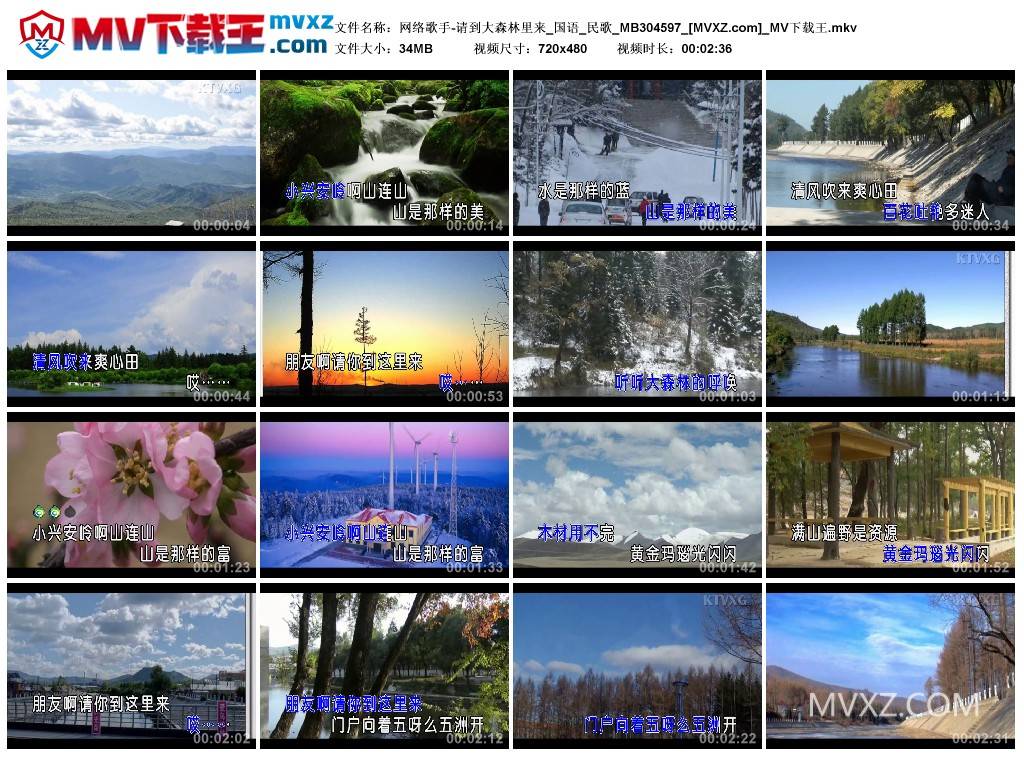 网络歌手-请到大森林里来_国语_民歌_MB304597